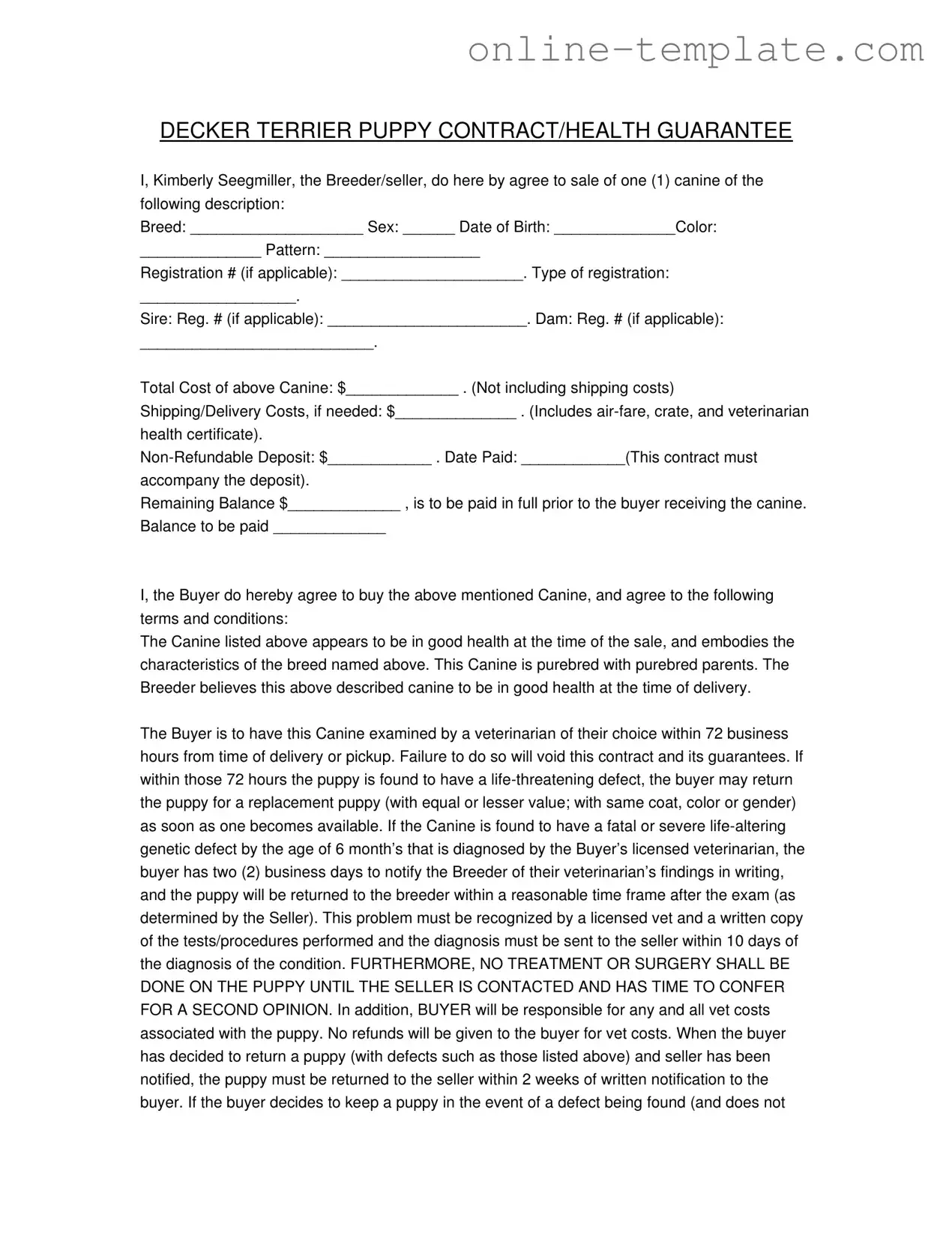 Free Health Guarantee PDF Template