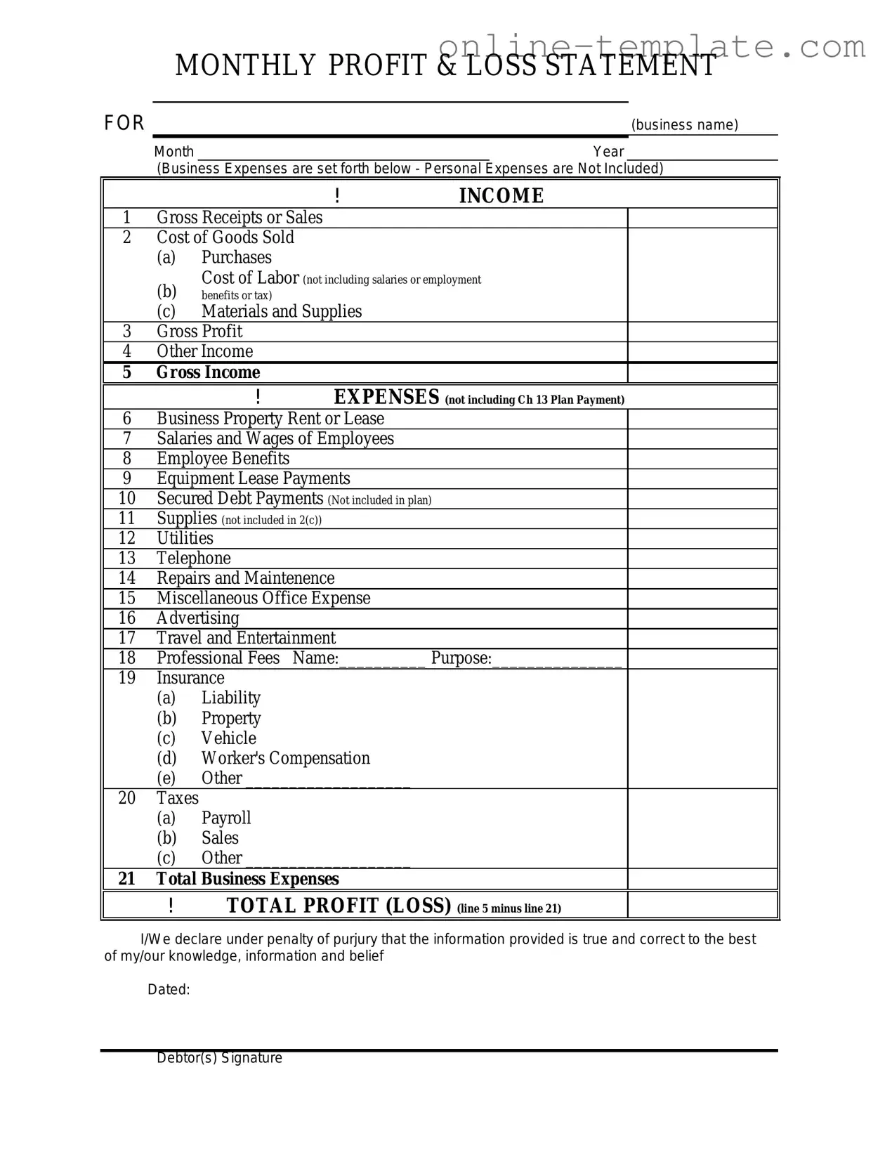 Free Profit And Loss PDF Template