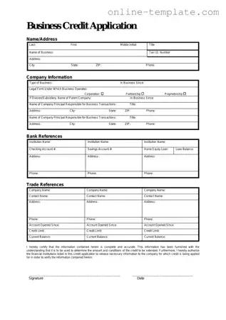 Free Business Credit Application PDF Template