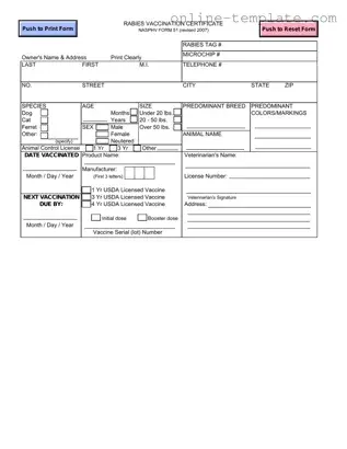 Free Rabies Certificate PDF Template