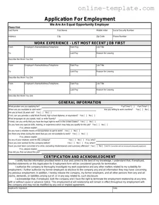 Free Spanish Application Employment PDF Template