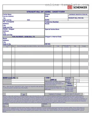 Free Straight Bill Of Lading PDF Template